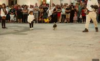 DSC02321.jpg