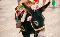 DSC02760.jpg