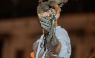 DSC05834-11.jpg