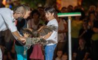 DSC05909-13.jpg