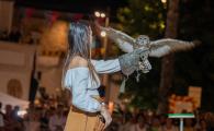 DSC05946-15.jpg
