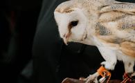 DSC09346-11.jpg