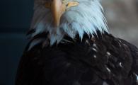 DSC08718.jpg